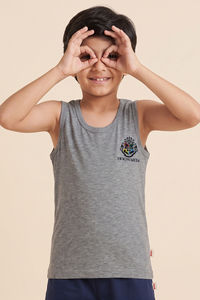 Lee Cooper Boys Harry Potter Vest (Pack of 2) - Multicolor — thumbnail 5